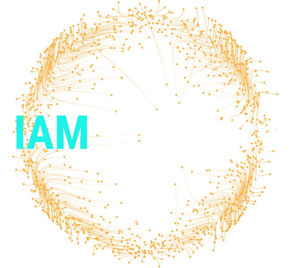 IAM Visionary